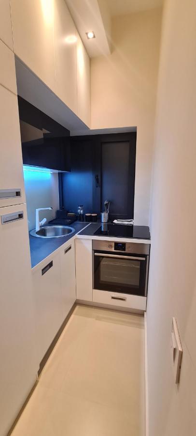 Lux Apartment In City Center เบลเกรด ภายนอก รูปภาพ